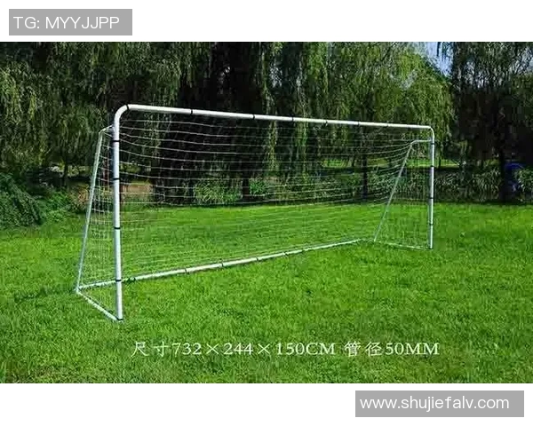 钢管足球的魅力与挑战探索这项新兴运动的风靡背后故事与未来发展潜力