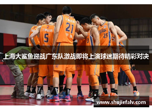 上海大鲨鱼迎战广东队激战即将上演球迷期待精彩对决