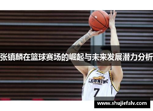 张镇麟在篮球赛场的崛起与未来发展潜力分析